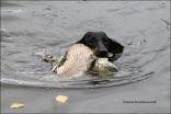 (Bild Quelle, Ulrike Cohrs)