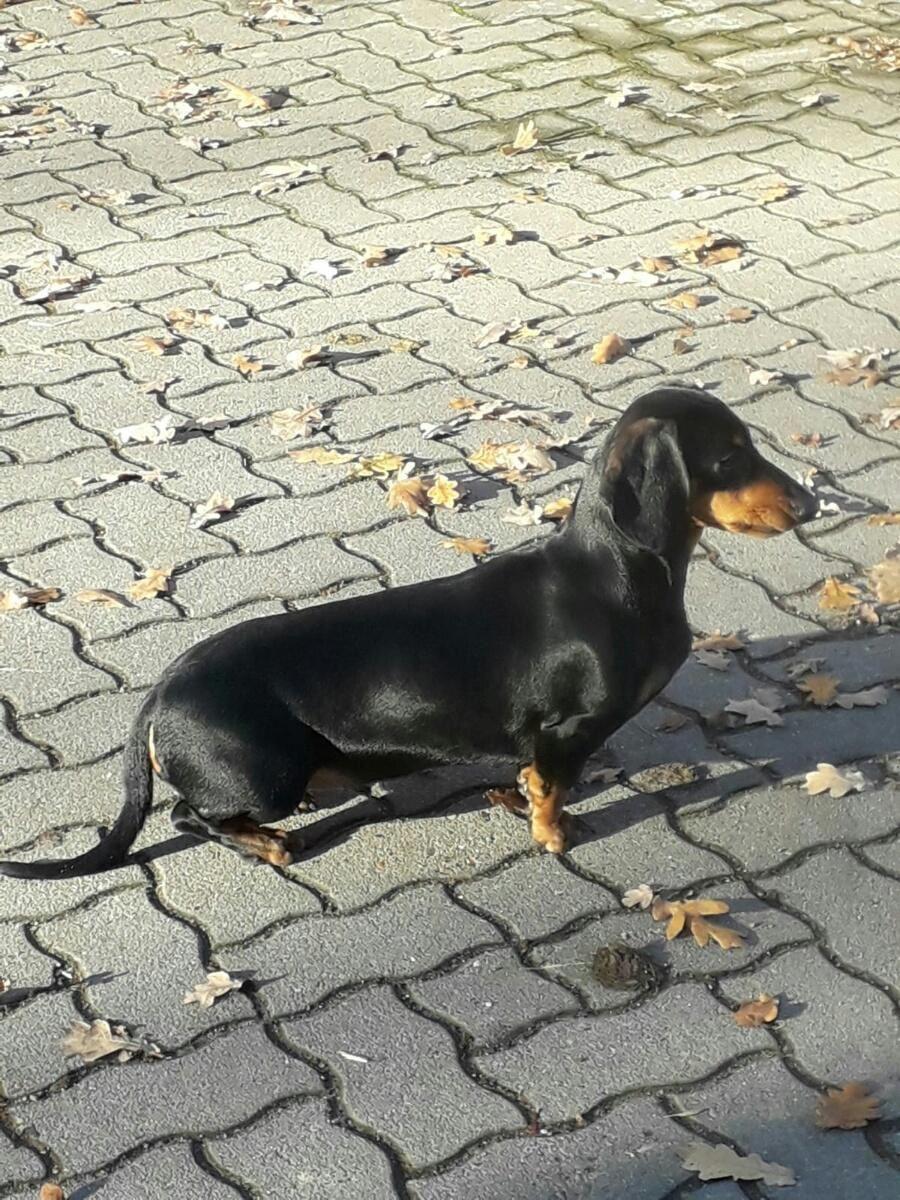 Foto; Madlen