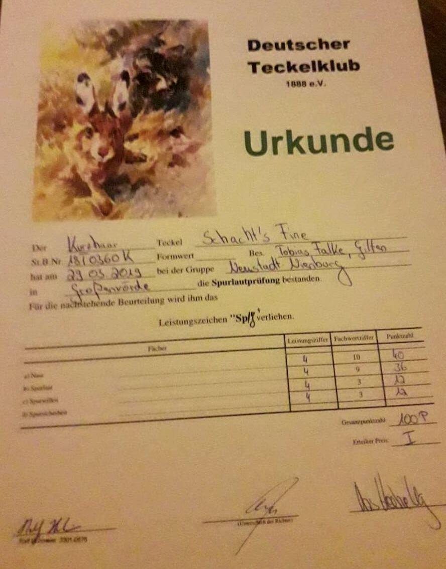 Foto, Tobias