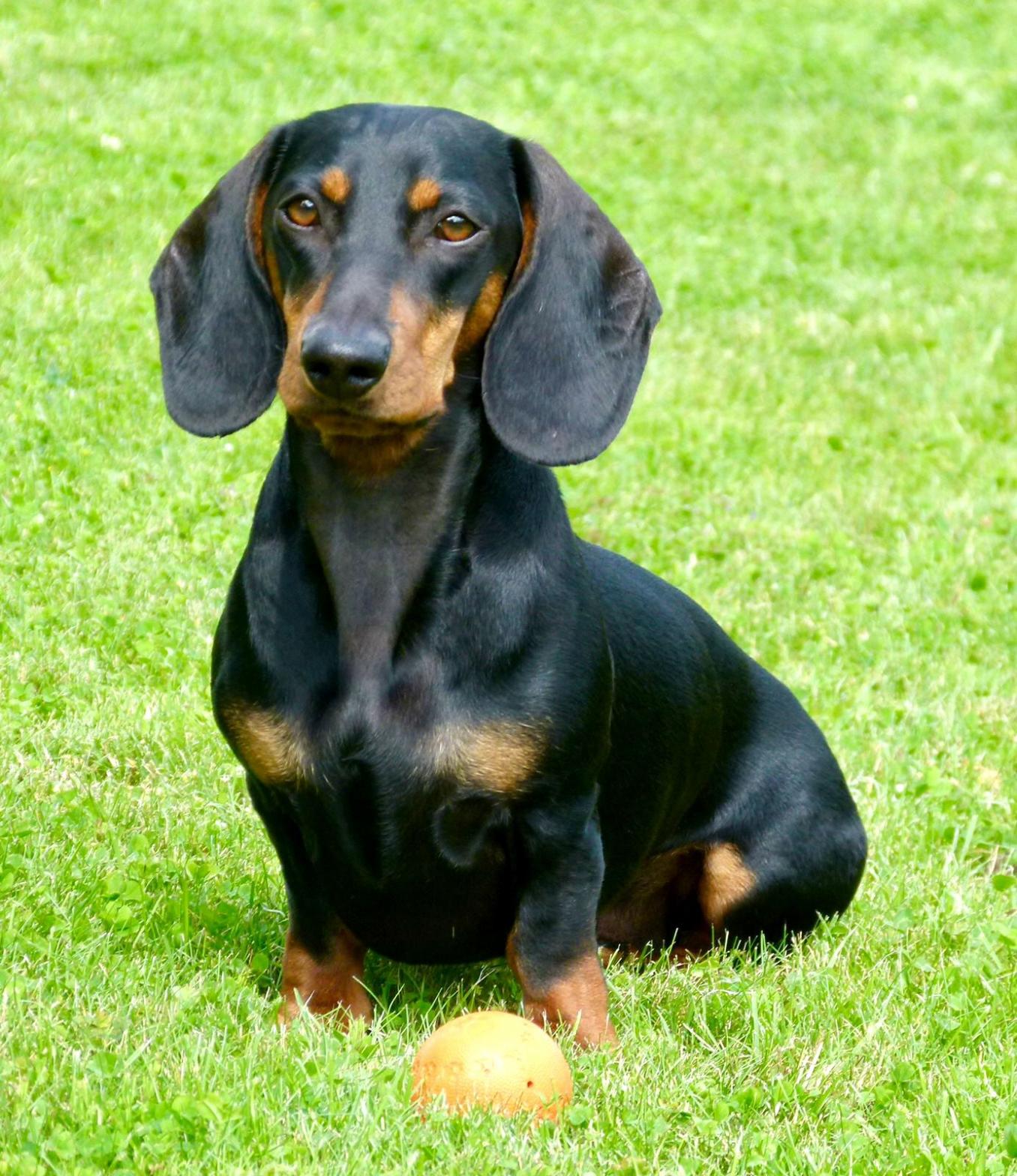 Fiete ( Foto; Doris)